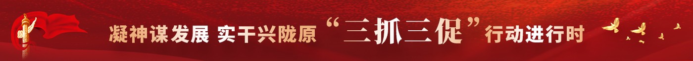 “三抓三促”行动进行时